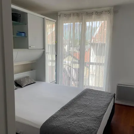 En Plein Coeur D'aix-les-bains 公寓
